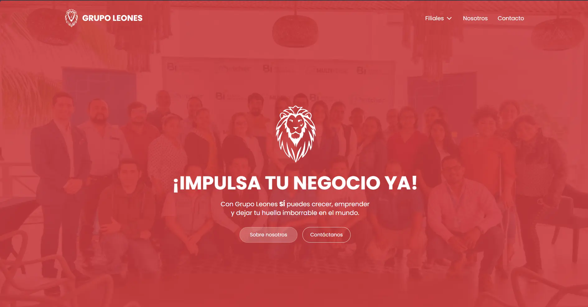 Grupos Leones